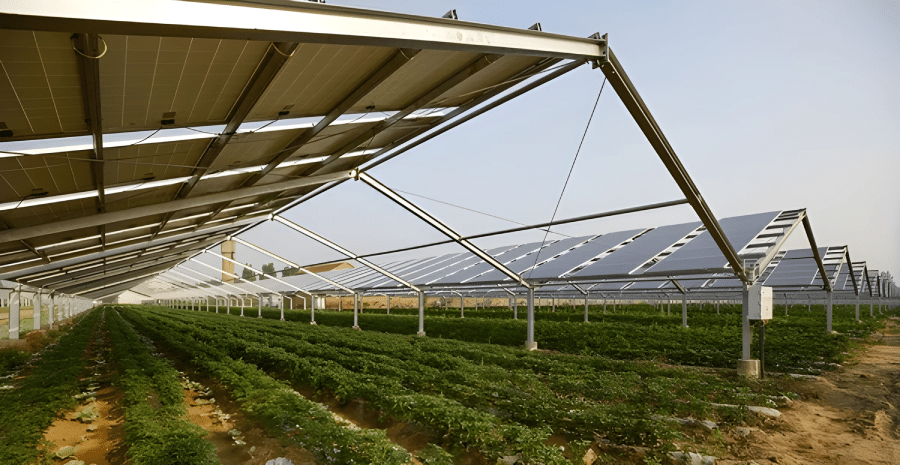 Fotovoltaico e agricoltura