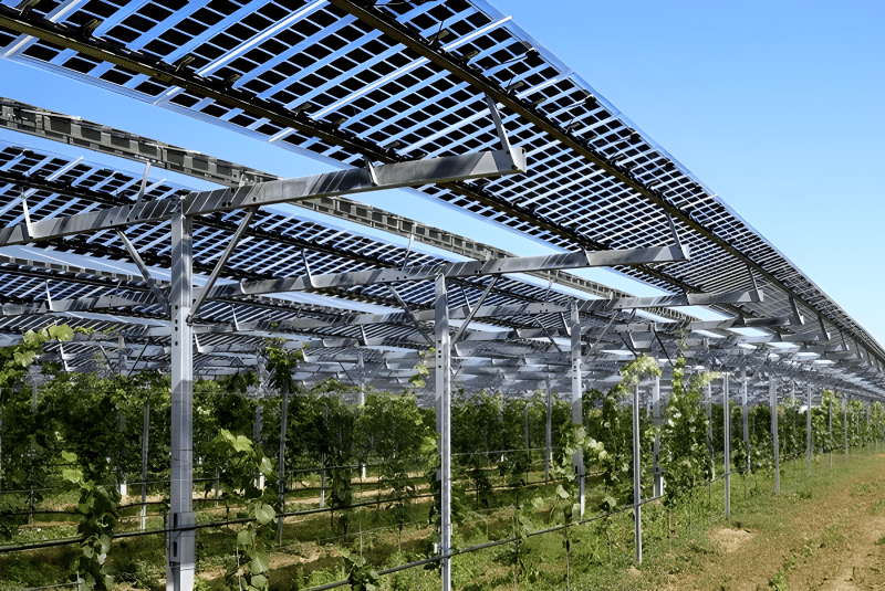 fotovoltaico aziende agricole