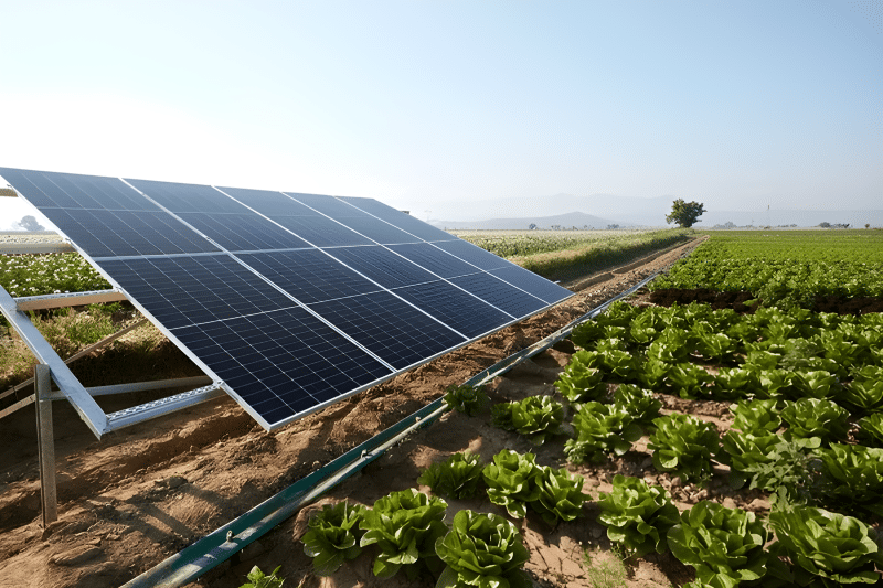 impianti fotovoltaici per aziende agricole